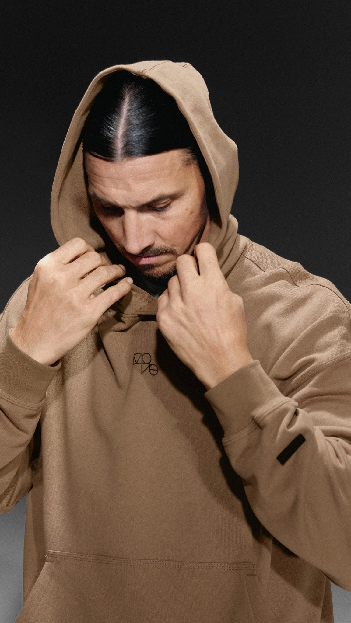 Estadísticas de zlatan ibrahimović rất nổi bật