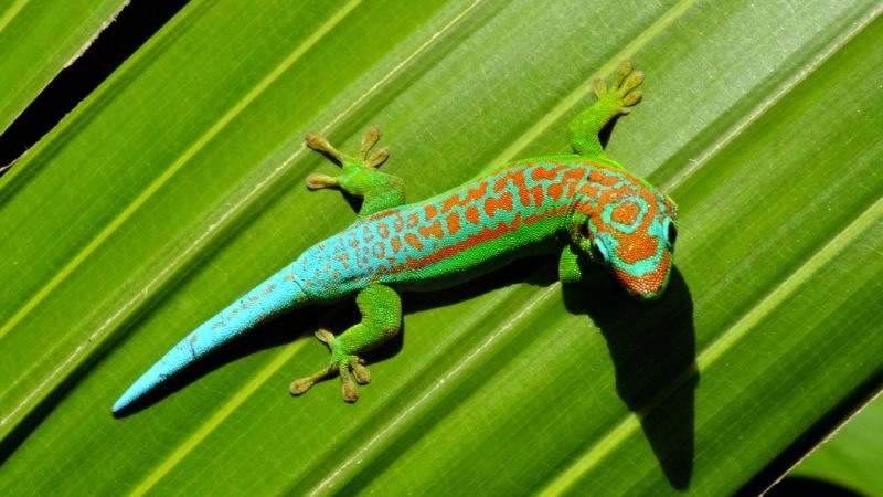 Quy trình vệ sinh định kỳ giúp nhà luôn thơm tho