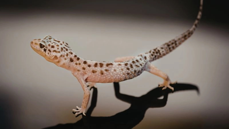 Kiểm soát độ ẩm và nhiệt độ bằng công nghệ