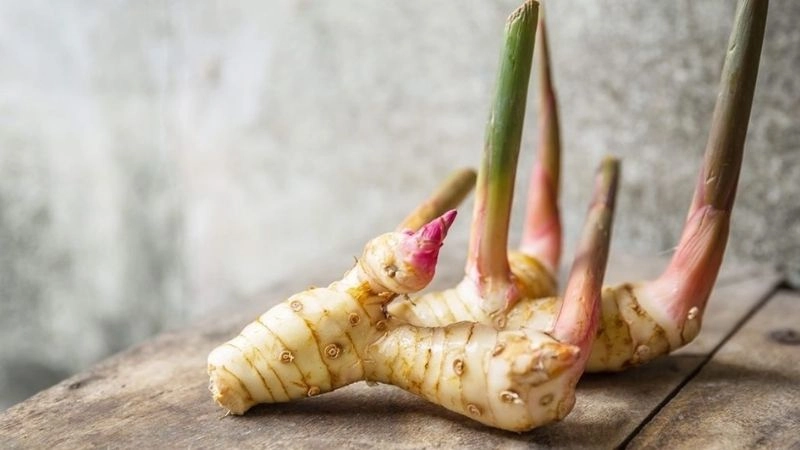 Khôi phục sắc tố da nhờ tinh chất củ riềng