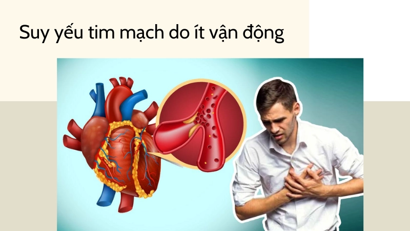 Sự suy yếu của hệ tim mạch do ít di chuyển