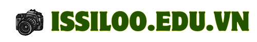 Logo issiloo.edu.vn